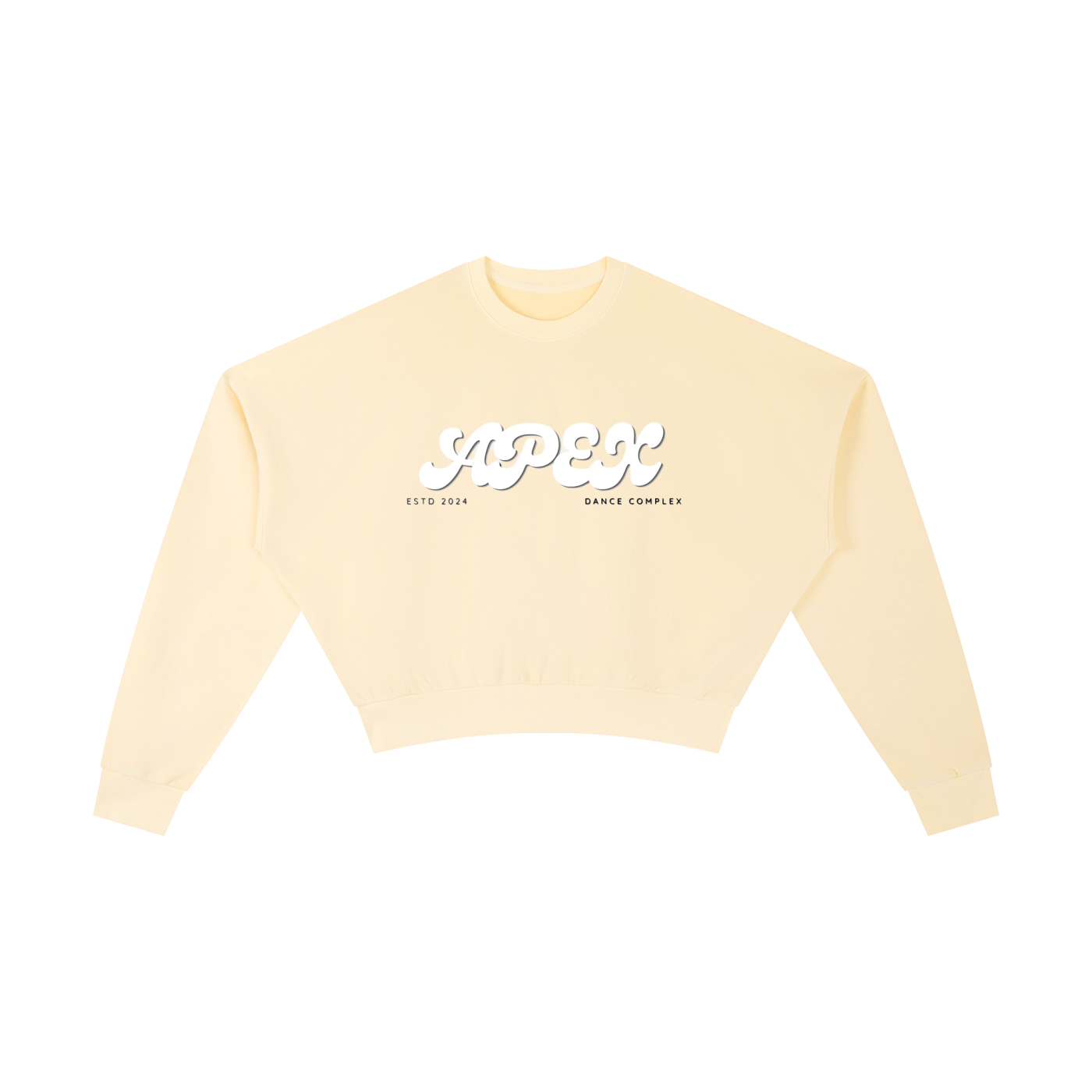 Vintage Washed Cropped Sweatshirt